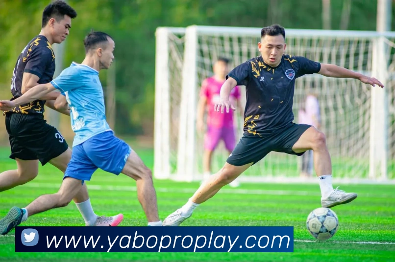 App Interface Preview